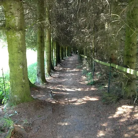 Brcalnik * Železná Ruda